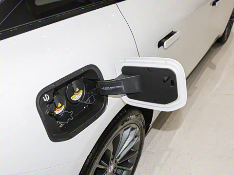 2024�� ���� 316������