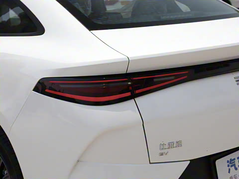 2025�� 520�ǻݰ�