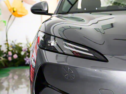 2025�� 520�ǻݰ�