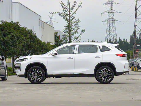 2025�� 300T ������ҫ��