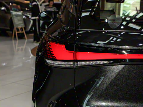 2025�� 300 ����������