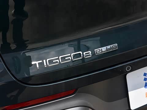 2025�� 290TGDI DCT�˷�� 