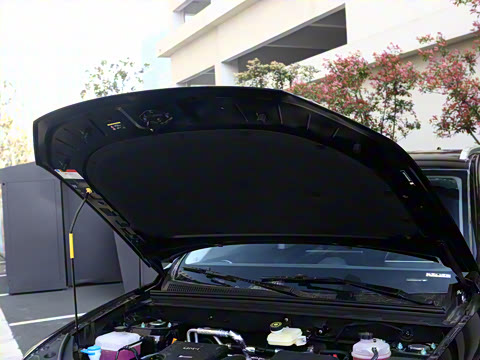 2025�� DM-i �Ǽݰ� 75KM������