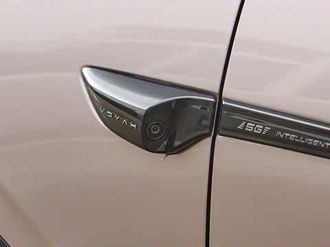 2024�� ������������