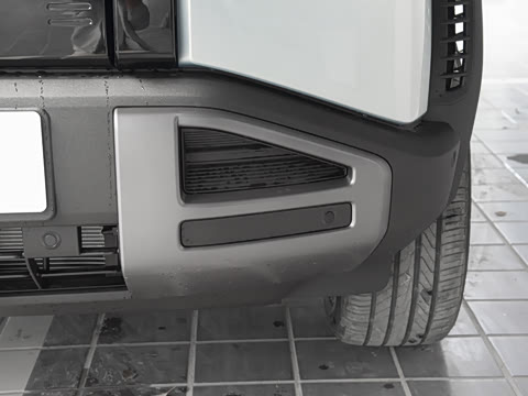 2025�� 501KM ����Max��