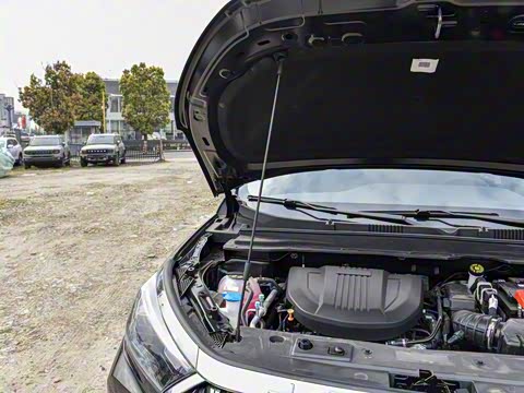 2025�� 1.6TD �ֶ����ʰ� 5��