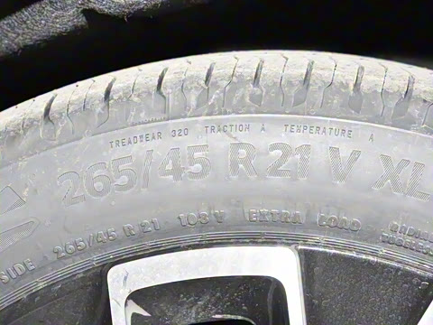 2025�� Max ���̰�