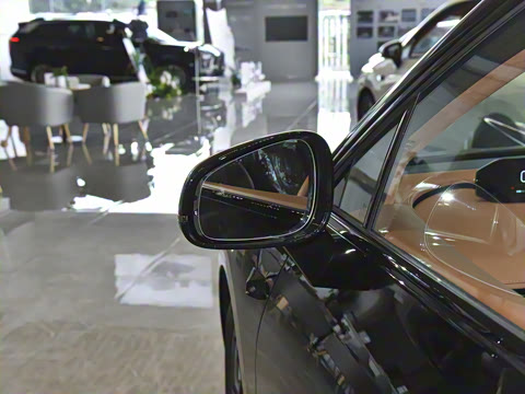 2025�� 825 Max��