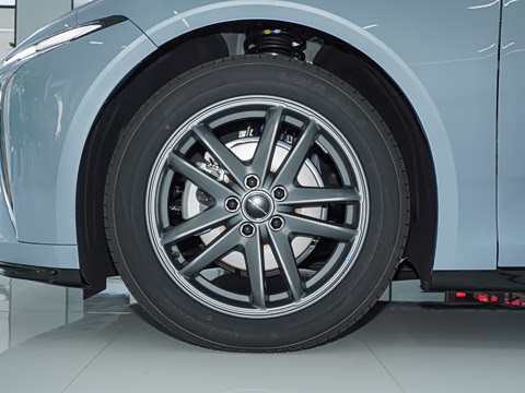 2025�� 555���˰�