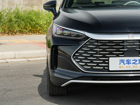 2025�� DM-i 175KM �캽��