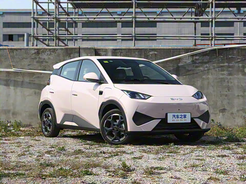 2025�� �Ǽݰ� 305km ���ɰ�