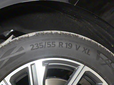 2024�� ���� ��������ɭ�ְ� ����