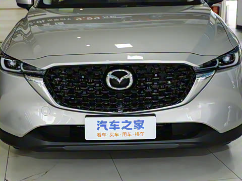 2024�� 2.0L �Զ�����������