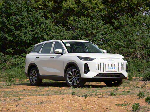 2025�� 120 �������������� 5�� �������