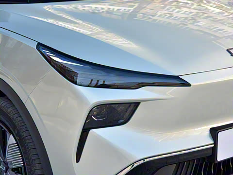 2025�� 565km ������