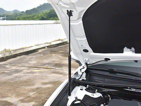 2024�� ˫�� 2.5HG ����