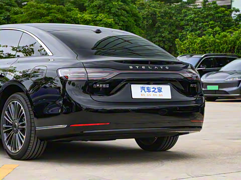 2025�� ���� Max