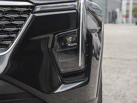 2024�� 25T ����������