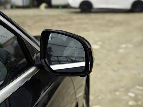 2025�� ���� ����� 230 ������