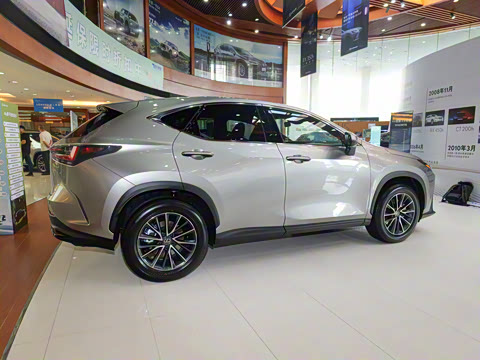 2024�� 260 ǰ�� ���۰�