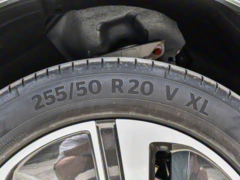 2025�� ���� Max