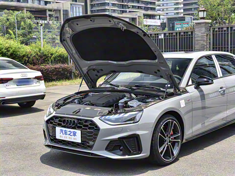 2025�� 200���������� 45 TFSI quattro ��ѡ������