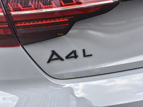 2025�� 200���������� 45 TFSI quattro ��ѡ������