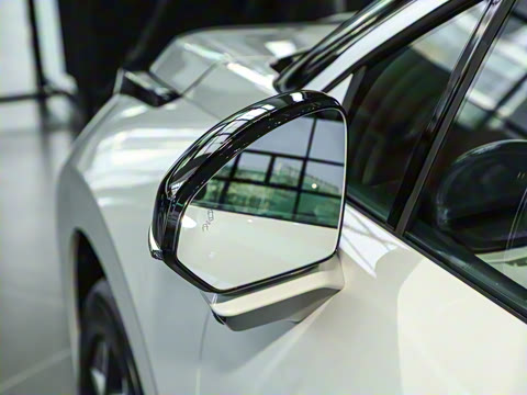 2025�� 530km ����Pro