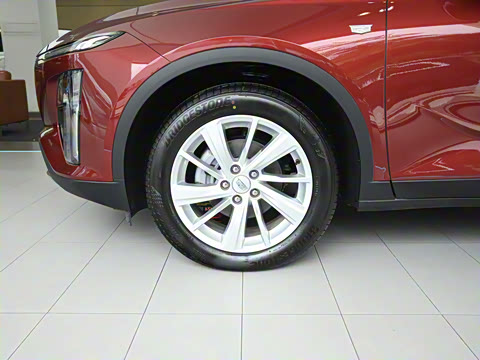 2023�� 25T ������