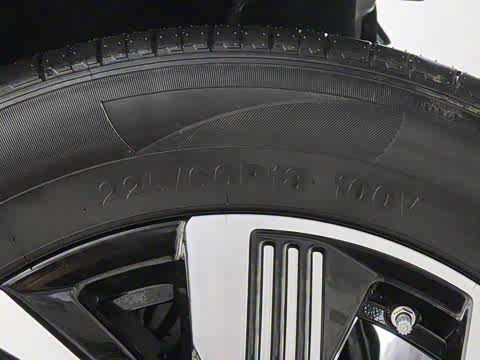 2025�� DM-i 115KM������