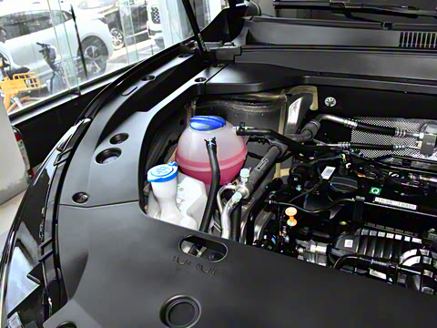 2024�� 1.6T ��ԭ�� 5��