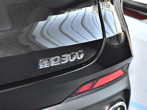 2024�� 1.6T ��ԭ�� 5��