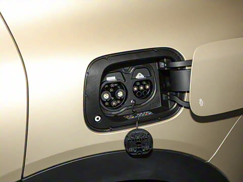 2024�� ���������� ������