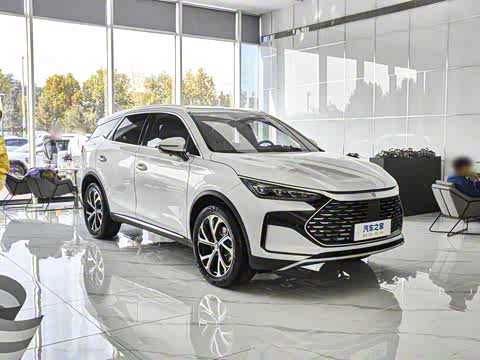 2025�� DM-i 115KM �콢��