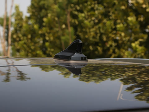 2024�� ����������