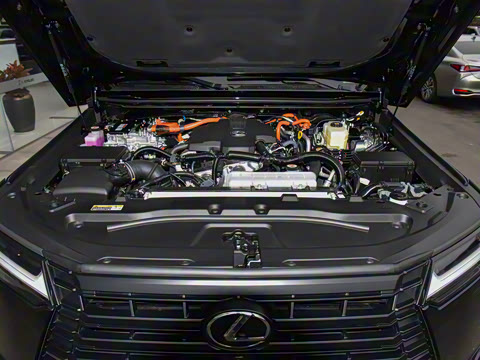 2024�� ����