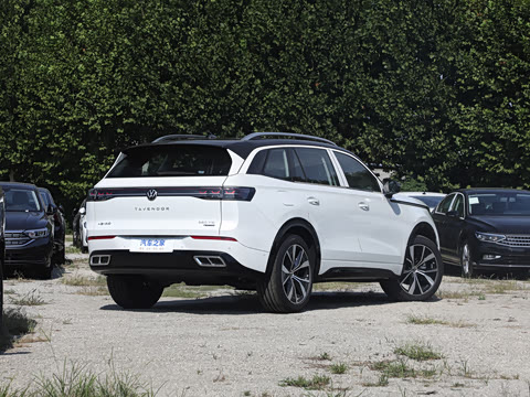 2024�� 380TSI ����R-LineѲ�� ������