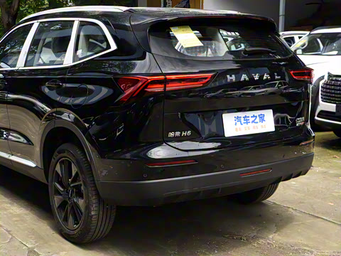 2024�� 2.0T ����Max