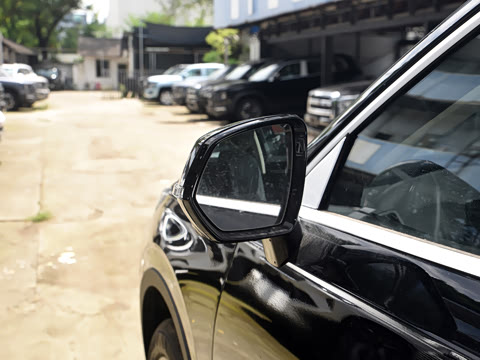 2024�� 2.0T ����Max