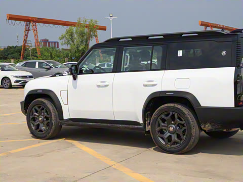 2025�� 2.0TD XWD �Զ������ӳ��� 7��