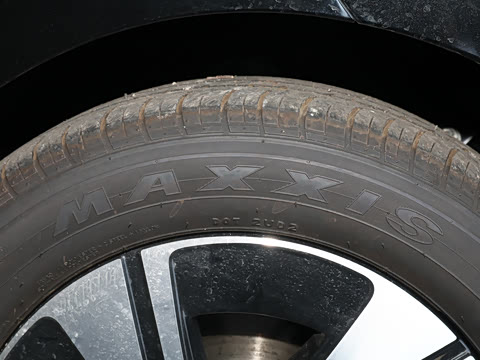 2025�� �������Ȱ�