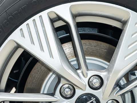 2025�� 445km ���ð�