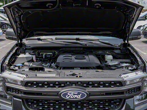 2023�� ɽ�������ֶ��� ����