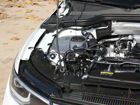 2025�� 300TSI Pro