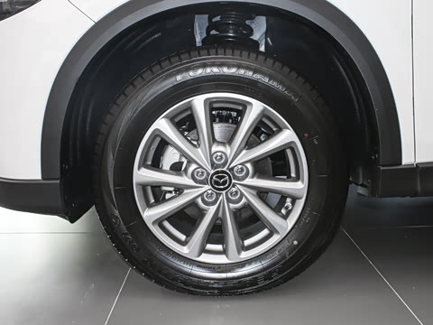 2024�� 2.0L �Զ���������Pro