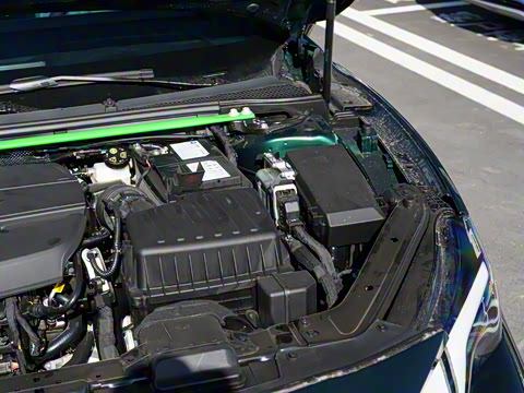 2025�� 2.0T Trophy+ �����˶���