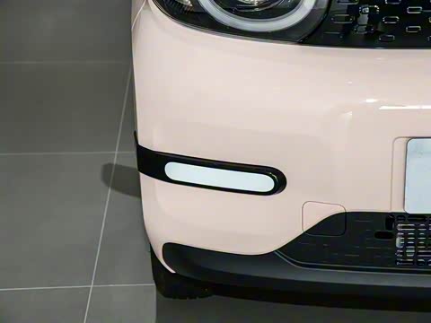 2025�� 205km ʥ����