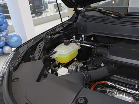 2026�� 165km ������������Max 7��