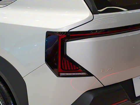 2025�� 530 Light