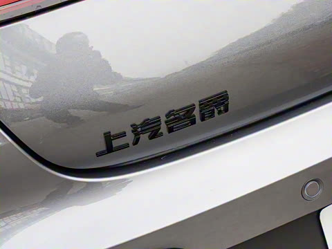 2025�� 2.0T 405 AT������